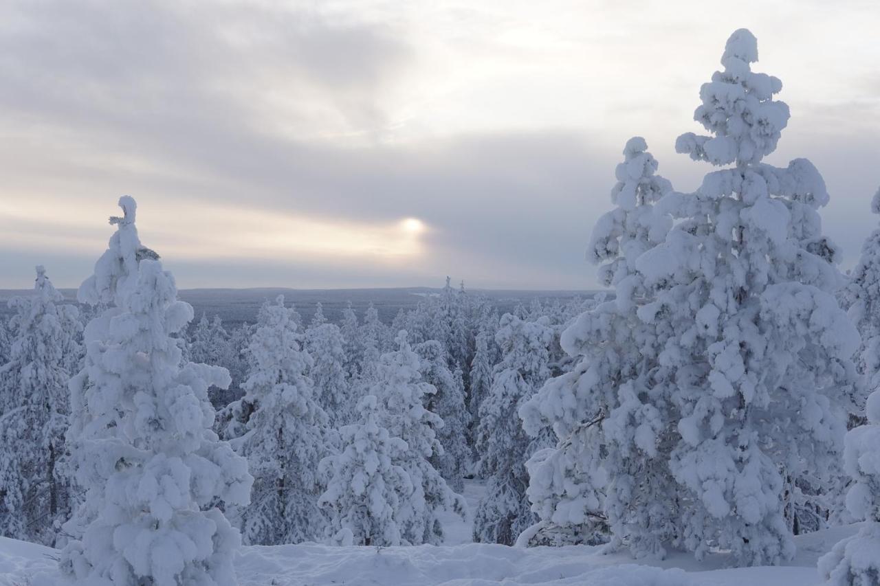 Arctic City Nest Rovaniemi Exterior photo